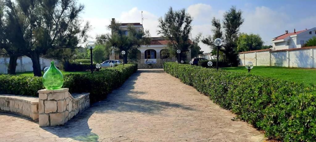San Domenico Bed And Breakfast トッレ・ア・マーレ エクステリア 写真